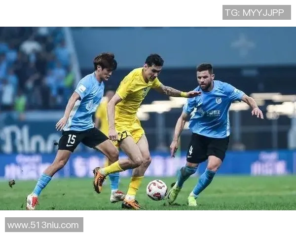 深圳排球队技术争议引发热议球迷与专家观点碰撞激烈